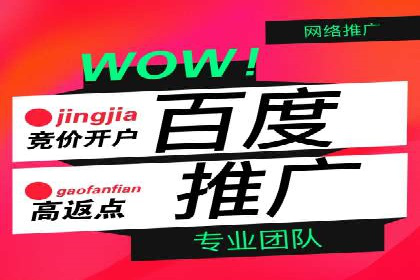 百度竞价包年服务：某行业领导品牌的成功故事